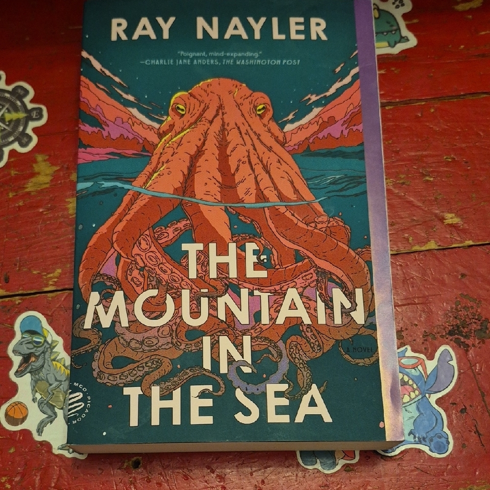 The Mountain in the Sea Book